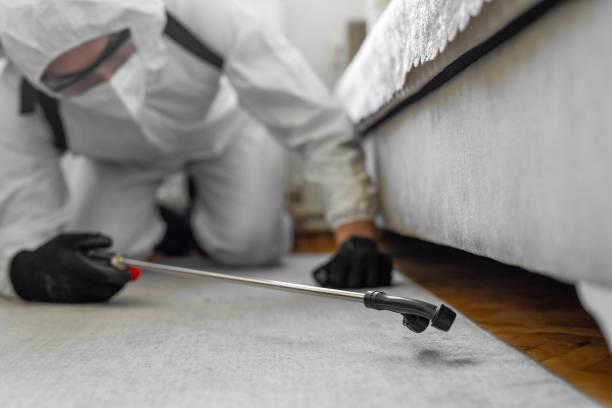 Professional Mosquito Control technician working in Mountain View, NC