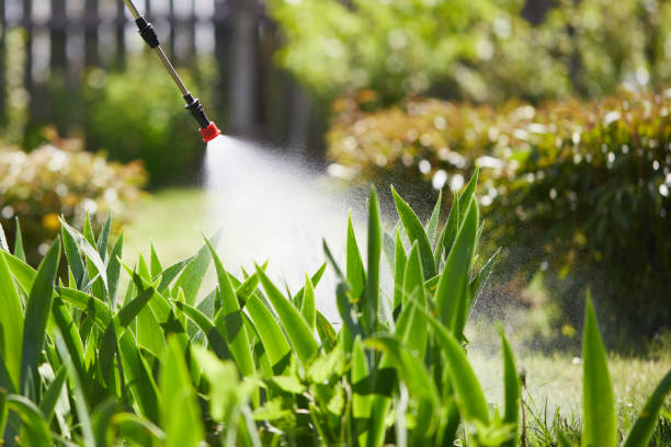 24/7 Emergency Mosquito Control experts in Mountain View, NC