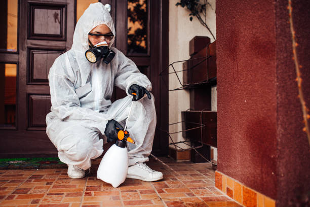Reliable Mosquito Control contractor in Mountain View, NC by Nex Pest Control