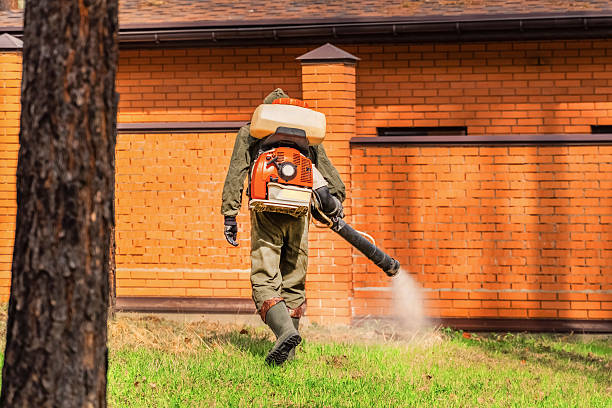 Top rated local Mosquito Control specialists in Mountain View, NC
